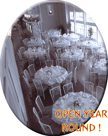 Lockport Canalside is a unique and versatile facility that easily accommodates a variety of activities - Casual Parties, Formal Weddings, Meetings, Reunions, Memorials, Company Picnics, or any time you want a unique, memorable event.